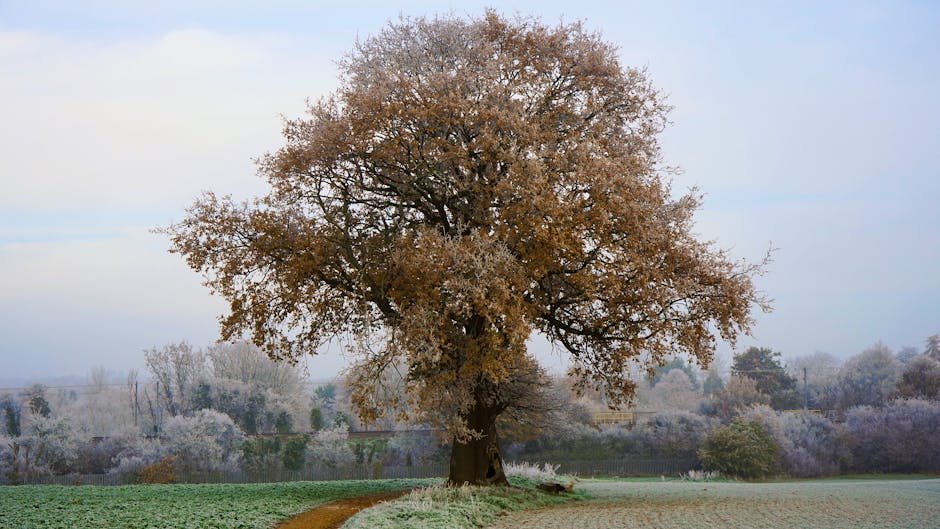 The Best Time to Visit the English Countryside: A Month-by-Month Guide